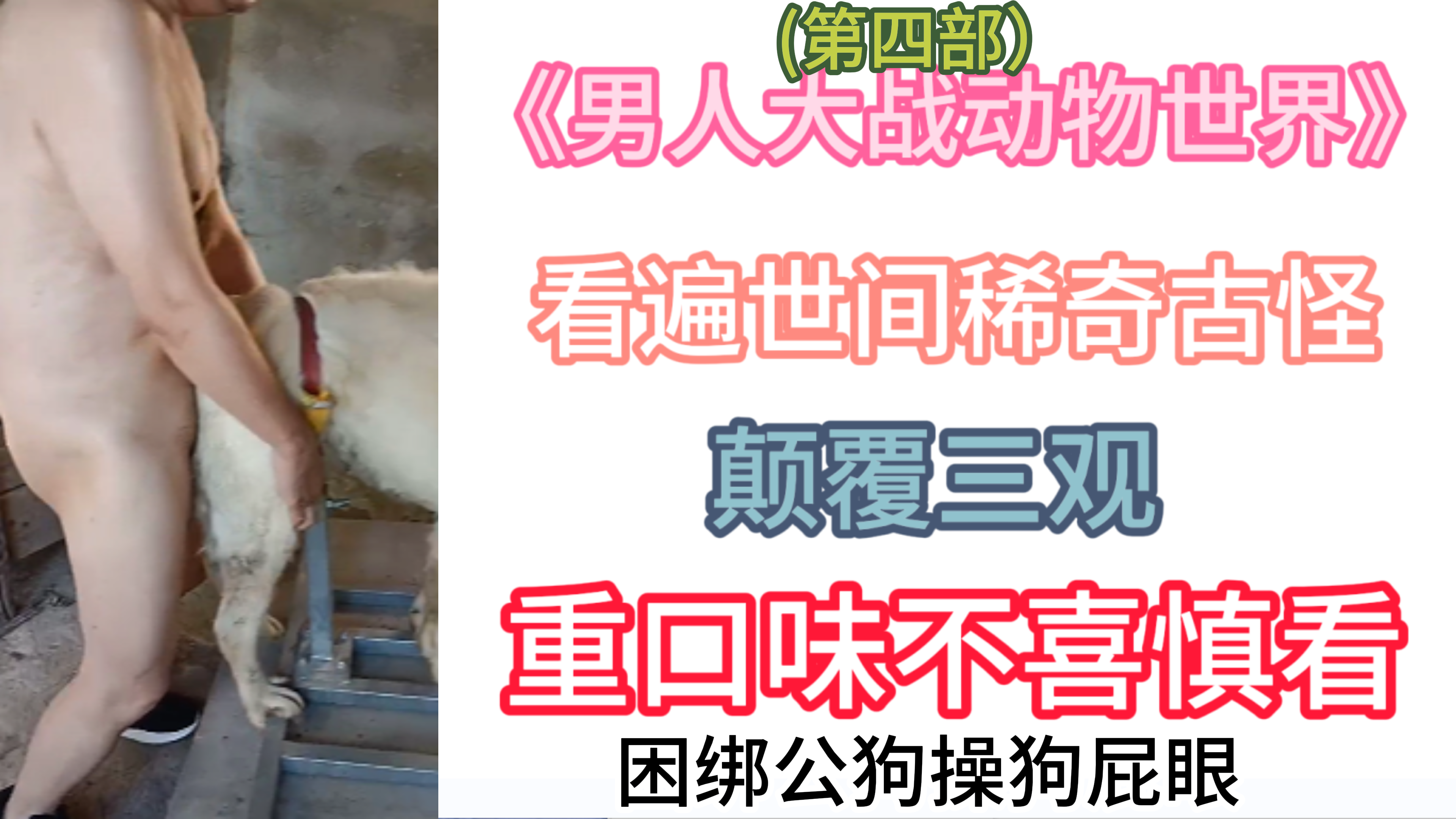 《男人大战动物世界》